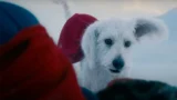 Superman e Krypto: la storia di James Gunn e il suo cane Ozu