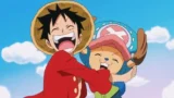 Anime spin-off su Chopper di One Piece in arrivo
