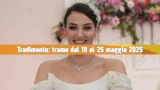 Tradimento: verità sconvolgenti e arresto inatteso a maggio 2025