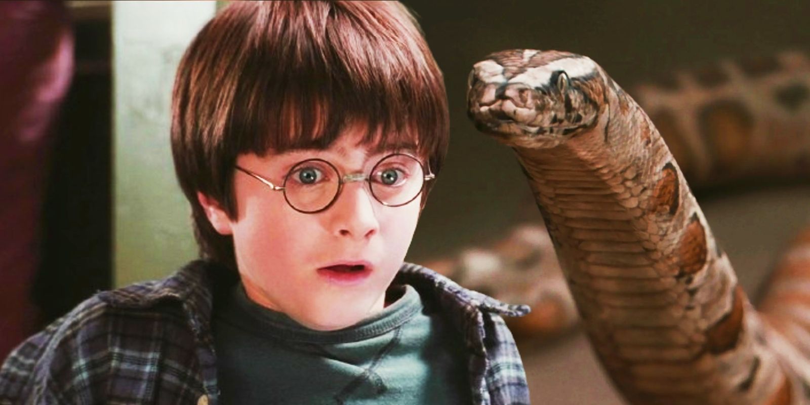 parseltongue come harry potter parla con i serpenti e tutto ciò che devi sapere da Jumptheshark.it parseltongue come harry potter parla con i serpenti e tutto ciò che devi sapere
