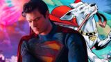 Krypto, il cane intelligente di superman: la risposta del creatore della nuova serie