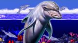 The dolphin remaster e il  gioco: attesa di oltre 8500 ore