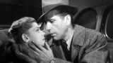 Humphrey bogart e lauren bacall: il nome scelto per il loro figlio in onore del primo film insieme