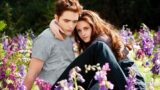 Twilight: come il film finale ha toccato il cuore dei fan nel 2012