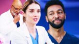 Grey’s Anatomy stagione 21: un  amore risolve i conflitti storici