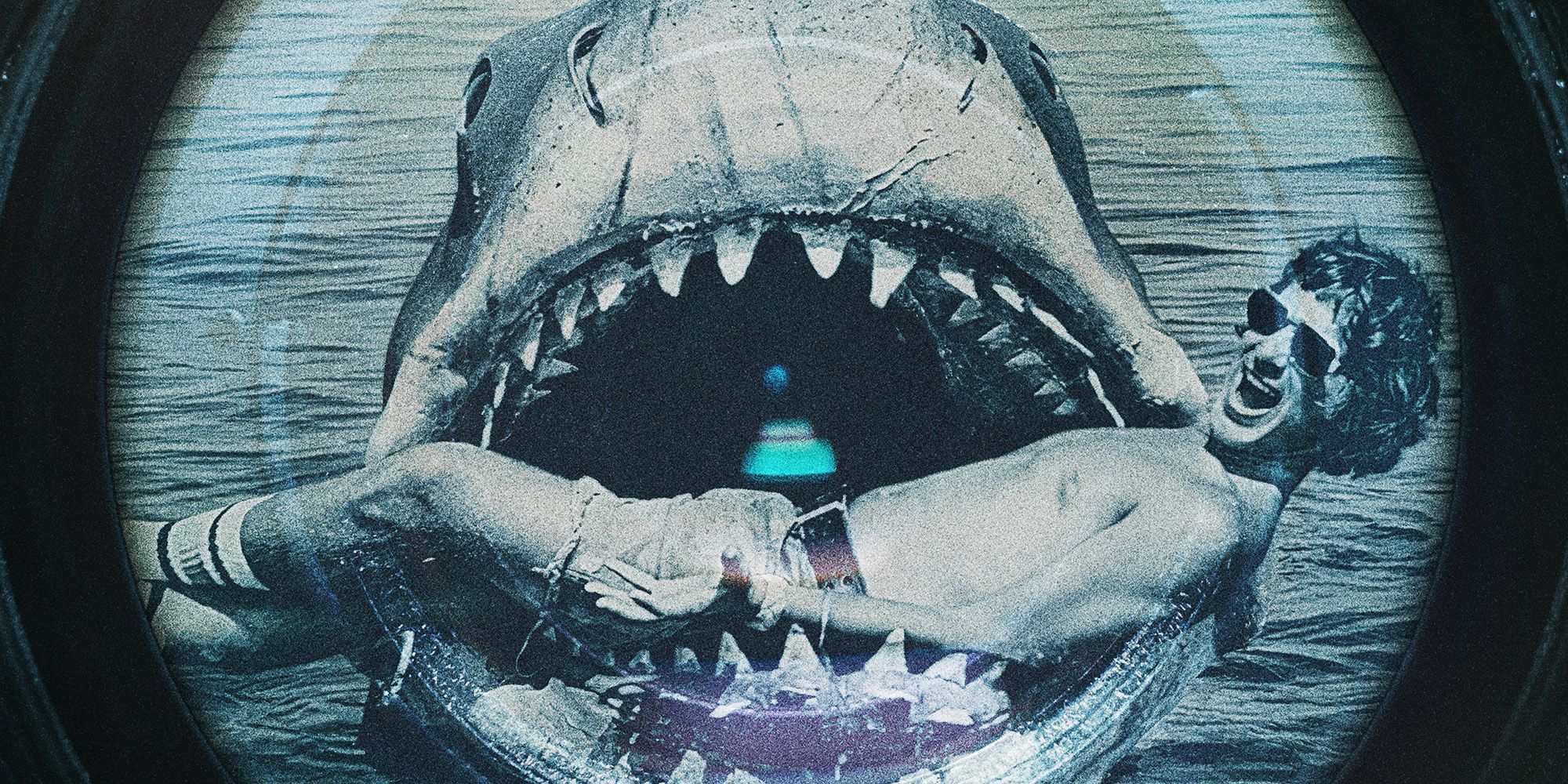 Jaws compie 50 anni: il ritorno del trailer esclusivo di spielberg Jaws compie 50 anni: il ritorno del trailer esclusivo di spielberg