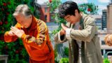 Karate kid legends: confronto con cobra kai e film passati