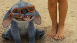 Stitch meno violento nel live-action di lilo & stitch: spiegazione del regista