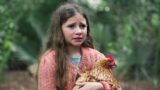 Film misterioso del 2022 con canzone di taylor swift è un successo in streaming
