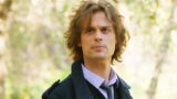 Matthew gray gubler e il suo spencer reid in criminal minds: evolution stagione 3