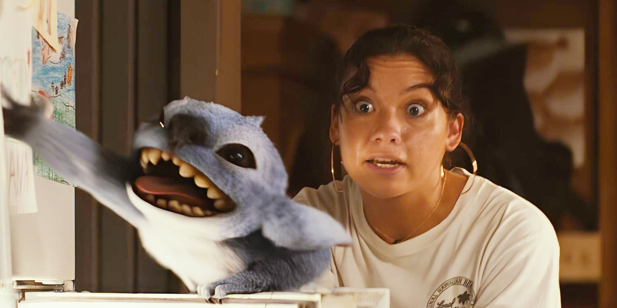 Lilo e stitch live action vs animato: le principali differenze da scoprire Lilo e stitch live action vs animato: le principali differenze da scoprire