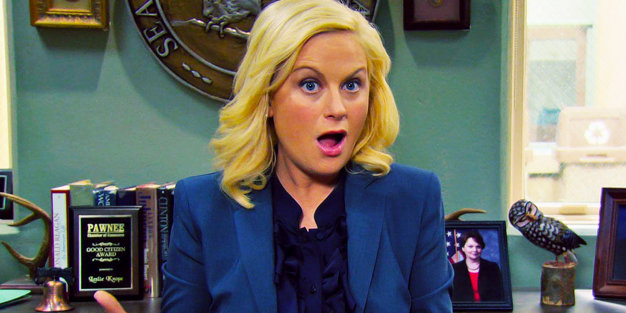 Cambiamenti in parks and rec dopo la prima stagione che hanno salvato lo show Cambiamenti in parks and rec dopo la prima stagione che hanno salvato lo show