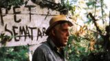 Pet sematary: il film di Stephen King che ignora il messaggio del libro