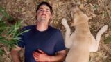 Serie tv thriller con finali inaspettati e sorprendenti