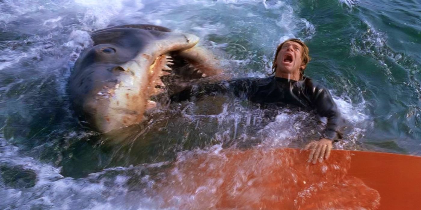 il gesto più coraggioso in jaws da un personaggio dimenticato da Jumptheshark.it il gesto più coraggioso in jaws da un personaggio dimenticato