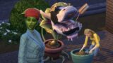 Completare la sfida legacy veggie nei sims 4