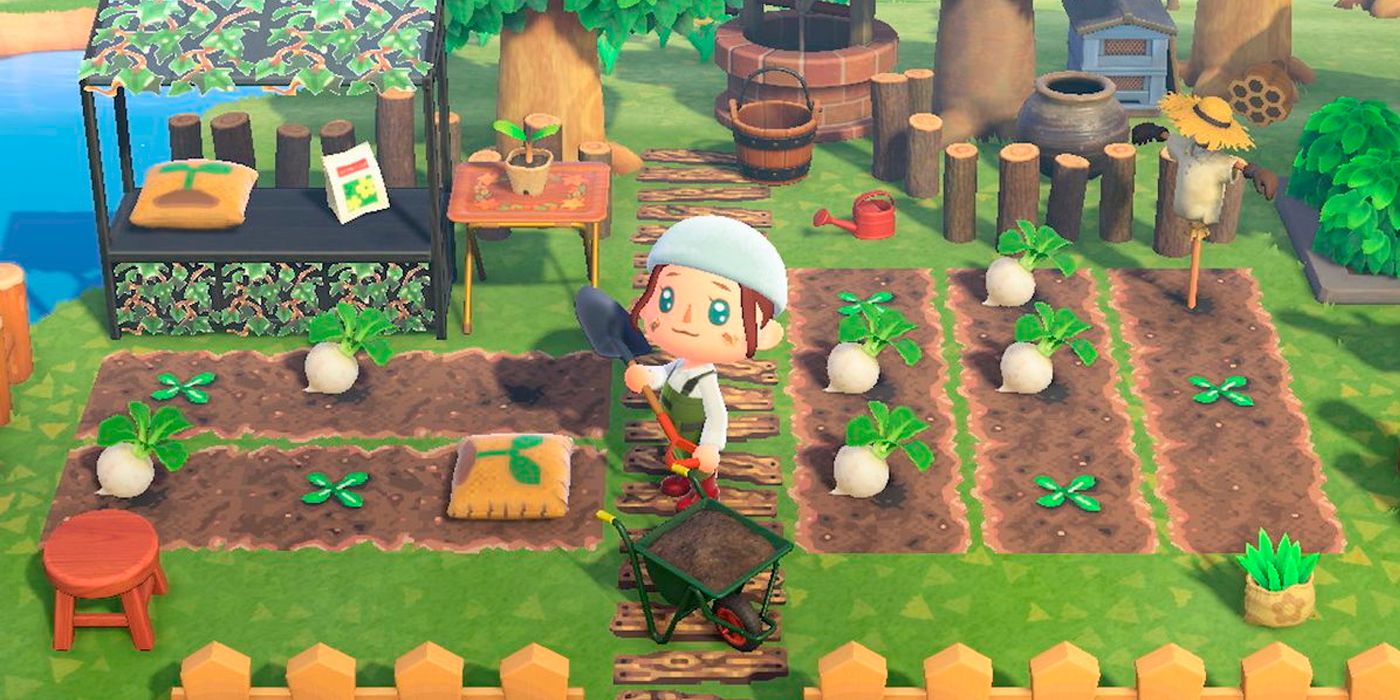 Animal crossing: nuovi inizi dopo 620 ore di gioco Animal crossing: nuovi inizi dopo 620 ore di gioco