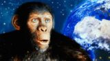 Cosa è successo alla terra nei film originali del pianeta delle scimmie