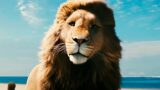 Perché il riavvio di greta gerwig delle cronache di narnia inizia con il sesto libro