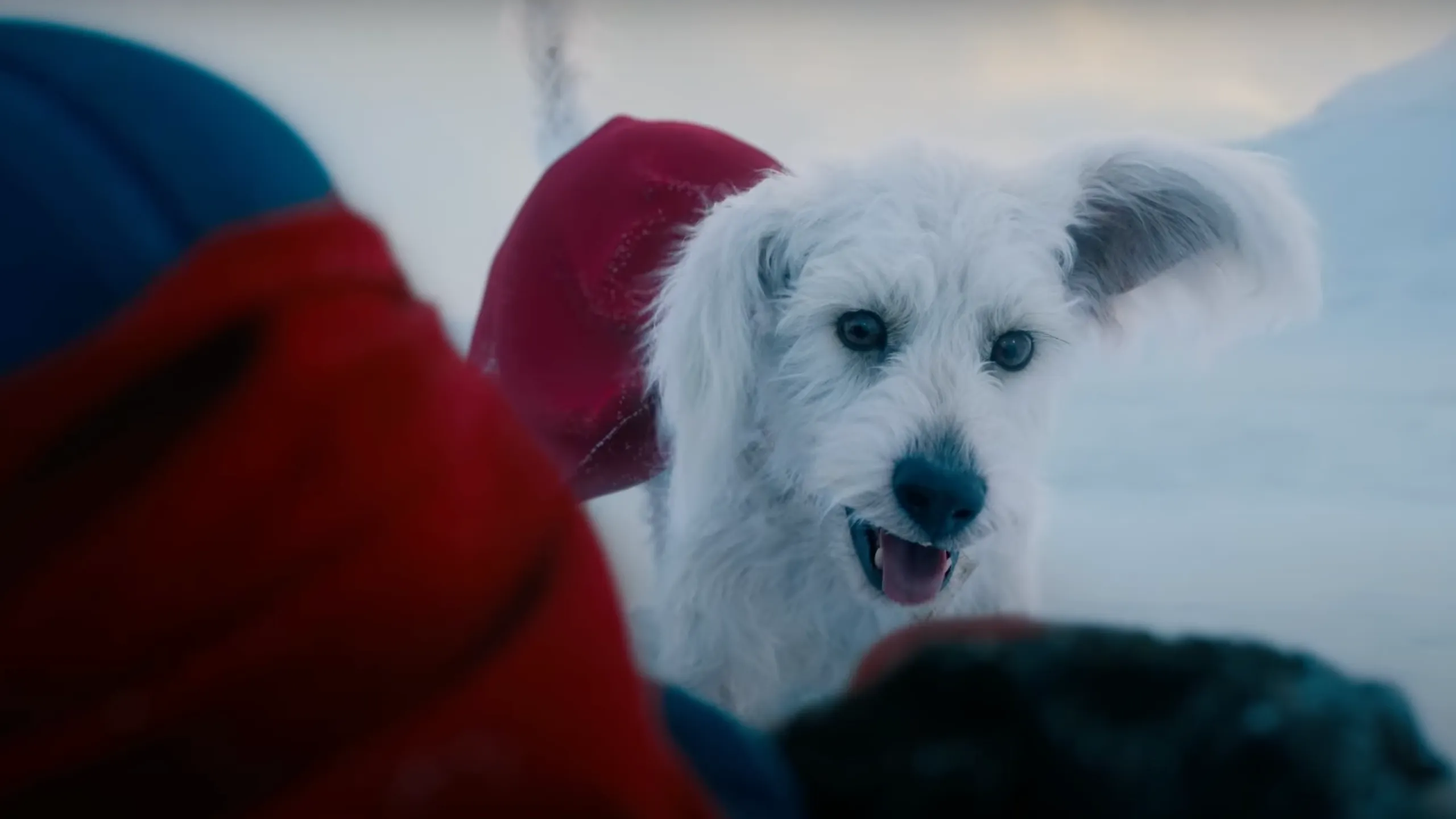 Spin off animato di superman con krypto in arrivo da james gun