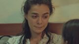Forza di una donna: trama della nuova soap estiva su Canale 5 dal 3 giugno