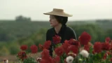 Madame clicquot: scopri la storia della grande signora dello champagne nel film su sky cinema romance