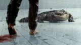 La spiegazione del finale di the pool