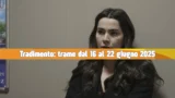 Tradimento 16-22 giugno 2025: vendette e scontri rivelatori