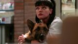 Episodi di ncis da saltare durante una visione ripetuta