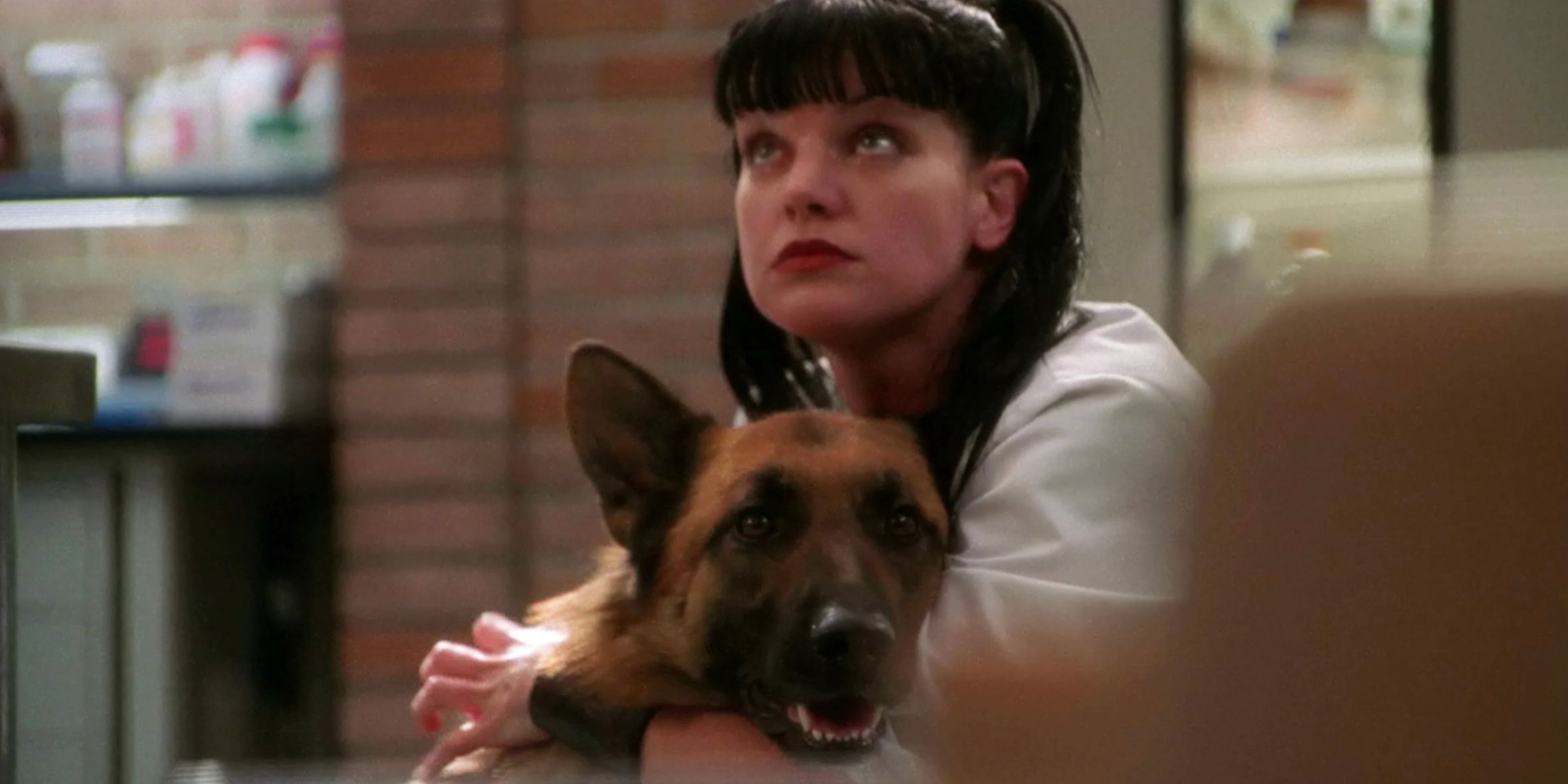 Episodi di ncis da saltare durante una visione ripetuta Episodi di ncis da saltare durante una visione ripetuta