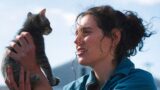Sorry baby recensione: un dramedy mozzafiato su guarigione e amicizia