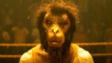 Miglior film d’arti marziali del 2020 ha lanciato un eroe d’azione sorprendente
