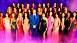 Ristrutturazione della villa del single: novità, cast e data di uscita