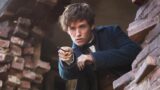 Attore rinomato rifiuta 811 milioni del franchise di harry potter
