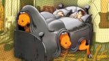 Fumetti far side sottovalutati da amare per gli amanti degli animali