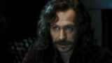 Gary Oldman e il desiderio di interpretare Silente nella serie HBO di Harry Potter