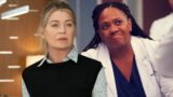 Grey’s anatomy stagione 22: conferme, cast e tutte le novità