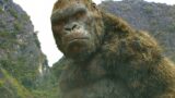 Kong skull island: il sequel dimenticato del monsterverse che tutti aspettavano