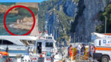 Ucciso sul set: il dramma che sconvolge il cinema italiano