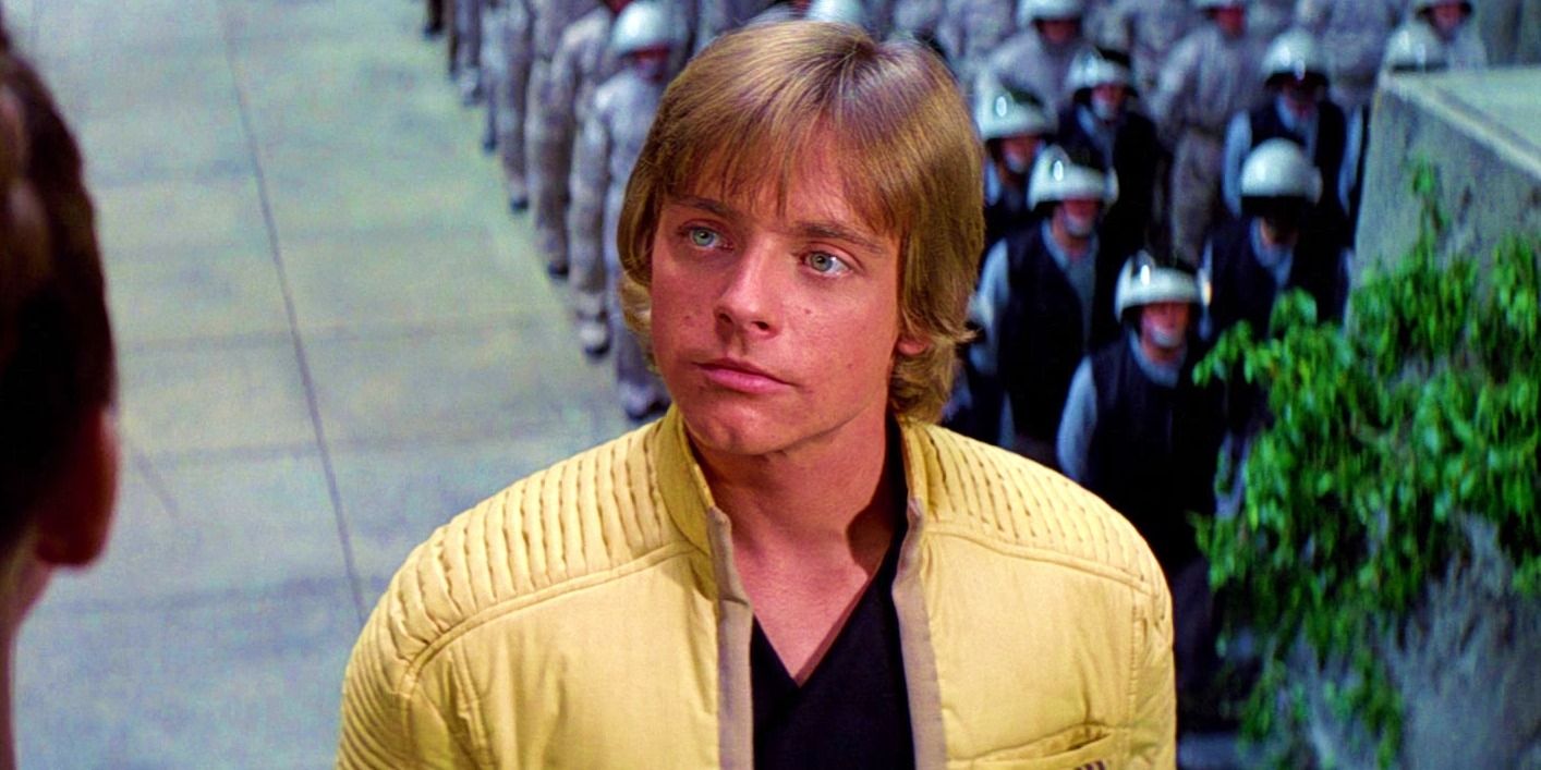 Lukes skywalker è gay? teoria di star wars e opinioni di mark hamill spiegate Lukes skywalker è gay? teoria di star wars e opinioni di mark hamill spiegate