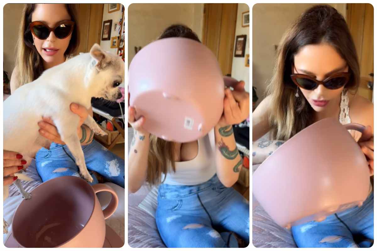 mungere latte di cane la provocazione di naike rivelli