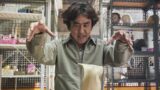 Film di supereroi da non perdere per i fan di train to busan