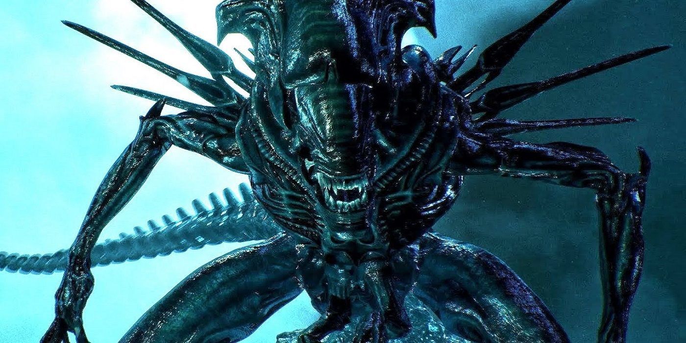 Xenomorph queen: l’abilità più agghiacciante nella storia del franchise alien Xenomorph queen: l’abilità più agghiacciante nella storia del franchise alien