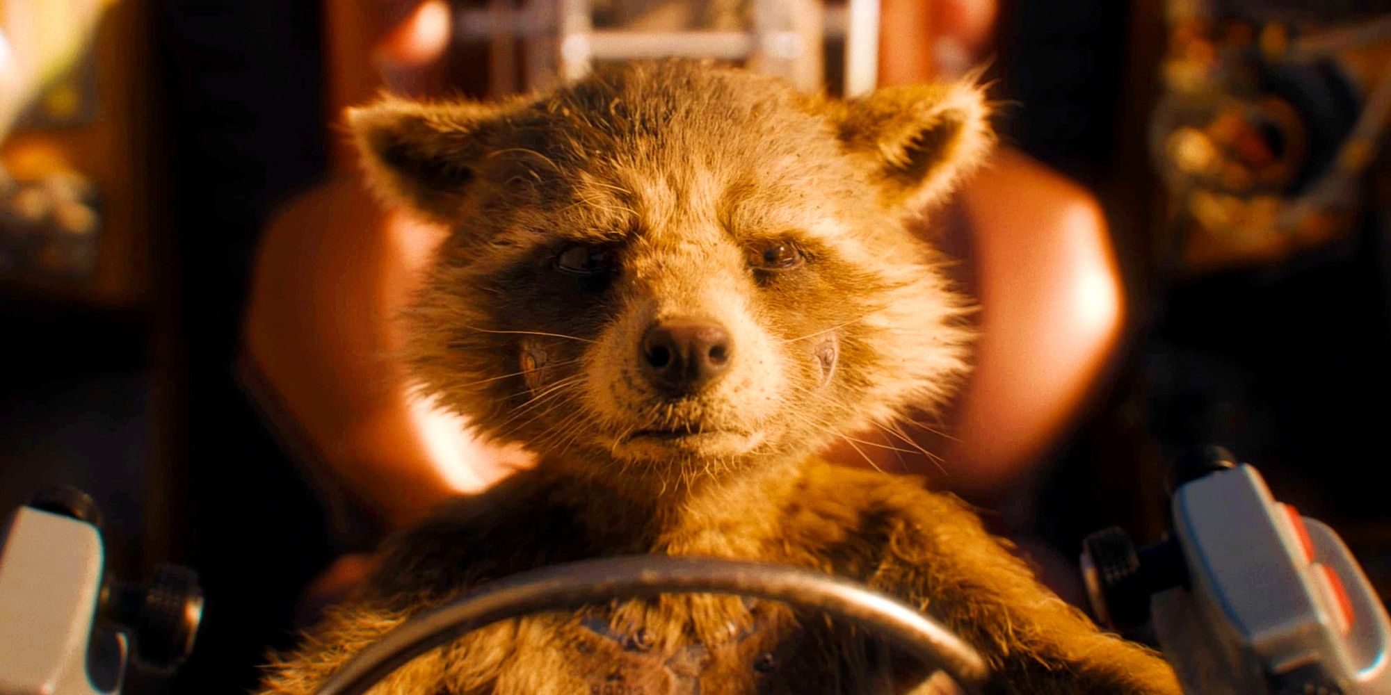 Rocket e il suo rifiuto di essere definito un animale in guardiani della galassia vol. 3 Rocket e il suo rifiuto di essere definito un animale in guardiani della galassia vol. 3