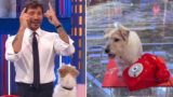 Affari tuoi: la scelta di De Martino per Gennarino svelata