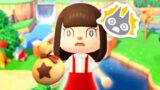 Giorno fortunato in animal crossing: come diventare ricchi in pochi passi