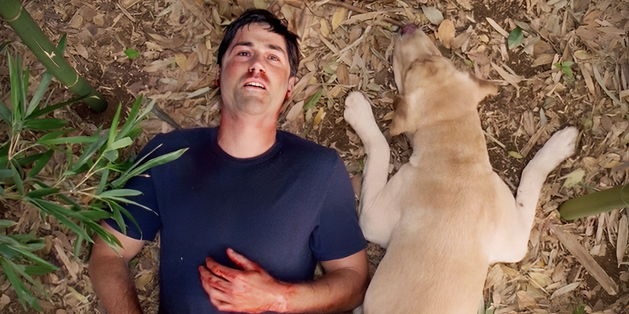 Il cambiamento di lost nella televisione e perché un reboot è impossibile Il cambiamento di lost nella televisione e perché un reboot è impossibile
