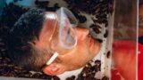 Concorrenti del serpente sfidano le scarafaggi per vincere il medaglione