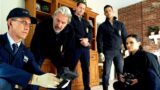 Ncis star crea una nuova serie comica sul ciclo biologico maschile per cbs
