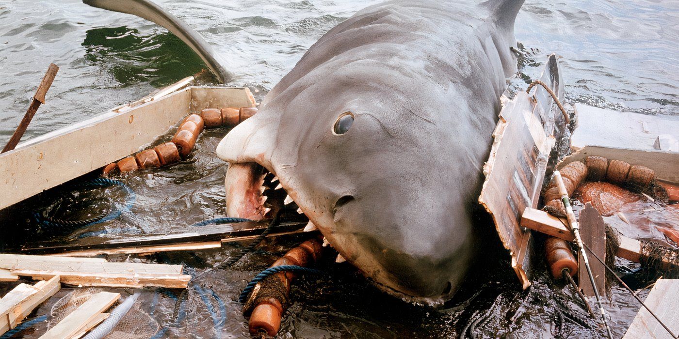 Franchising e cinema: il legame tra steven spielberg e un eroe iconico di jaws Franchising e cinema: il legame tra steven spielberg e un eroe iconico di jaws